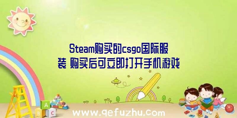 Steam购买的csgo国际服装